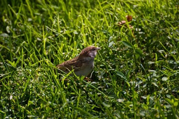 IMG_8878.jpg