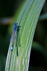 IMG_8889.jpg