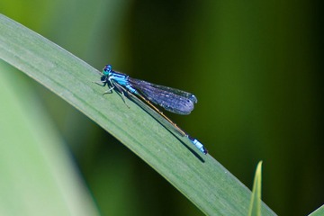 IMG_8890.jpg