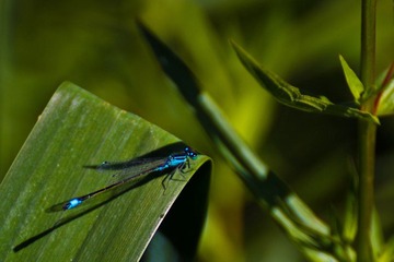 IMG_8898.jpg