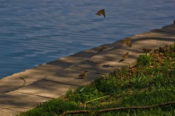 IMG_8903.jpg
