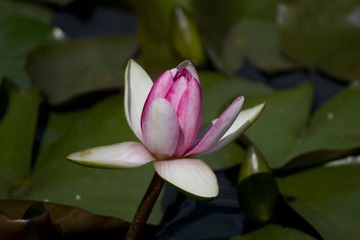 IMG_8918.jpg