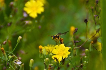 IMG_0920.jpg