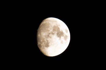 IMG_1324.jpg