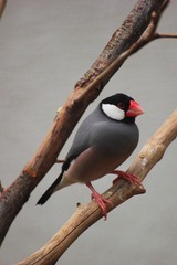 IMG_1582.JPG