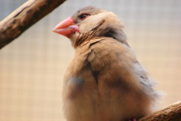 IMG_1591.JPG
