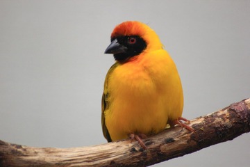 IMG_1596.JPG