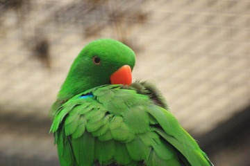 IMG_1609.JPG