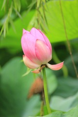 IMG_1648.JPG