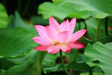 IMG_1649.JPG