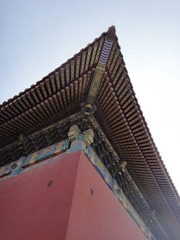 DSC02321.JPG