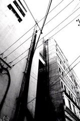 FUER9700.JPG