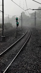 73286