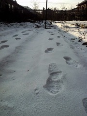 C360_2012-01-24-13-26-04.jpg