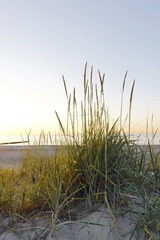 DSC04091-1.jpg