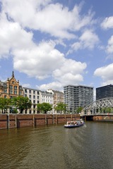 DSC04124-1.jpg