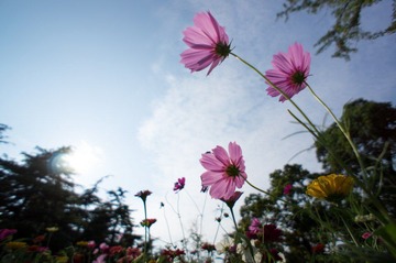 DSC04135-1.jpg