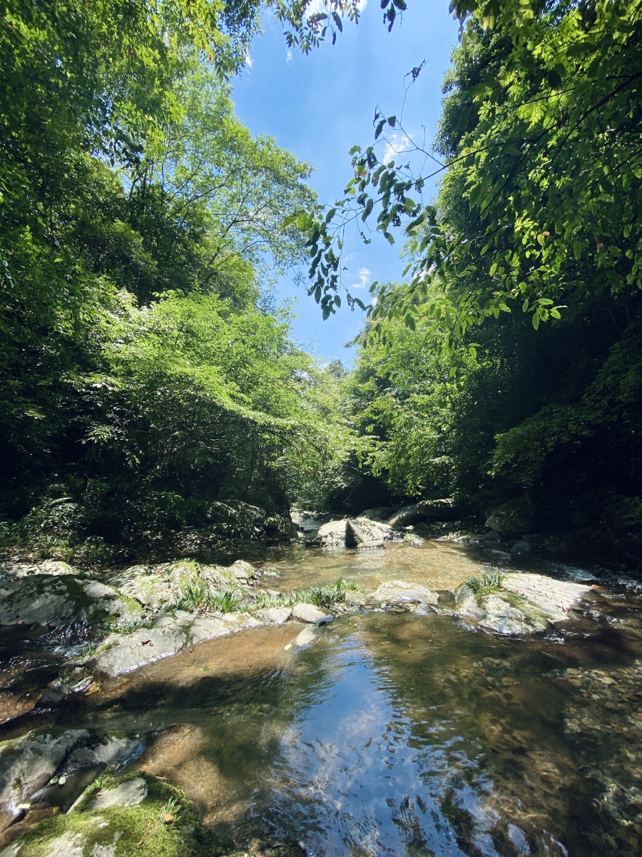 一个人走进深山老林