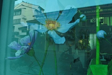 9FC43E25-1C8E-4273-81F6-F66837A35A47/L0/001