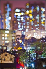 _MG_3522-1-微博.jpg