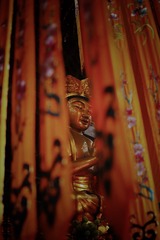 28C7C4CB-C2A4-498A-AD5E-3A82B56130C2/L0/001