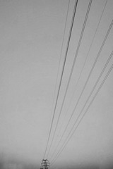 3863267B-713B-4985-A858-F04FC3F806E5/L0/001