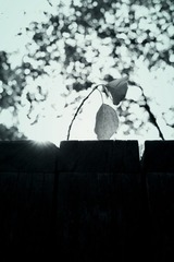 F0C916FA-84E4-46C7-8E67-BD3076A4CDF8/L0/001