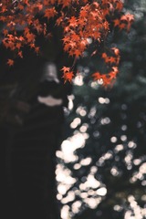 43A25AE5-FD60-4731-B3ED-9E64A196D8E3/L0/001