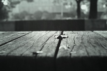 0C17A691-D572-4710-A9AA-A4ABEF9B1221/L0/001