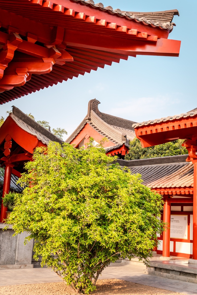 玄奘法师三藏院致敬唯识宗祖庭