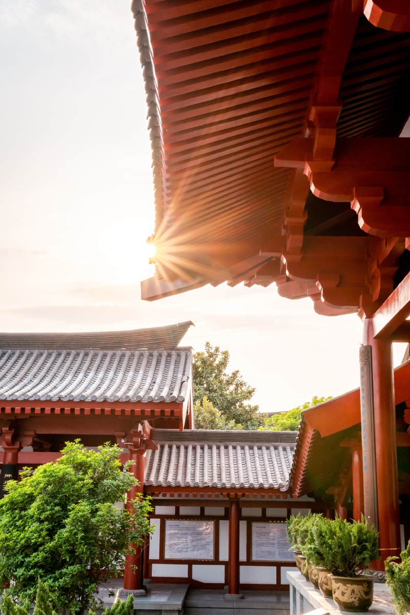 玄奘法师三藏院致敬唯识宗祖庭