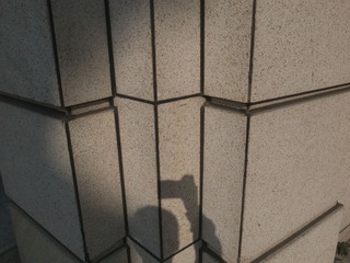 R0016036