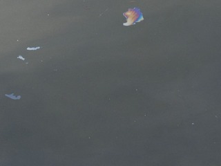 R0016065