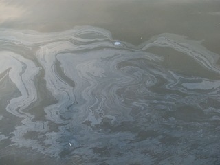 R0016066