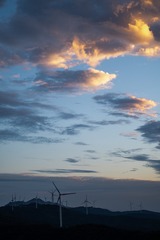 E62AC81B-8845-4B9B-B523-A29591CF5750/L0/001