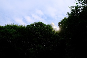 6E760165-A5FD-46C4-BD99-966452DFFADB/L0/001