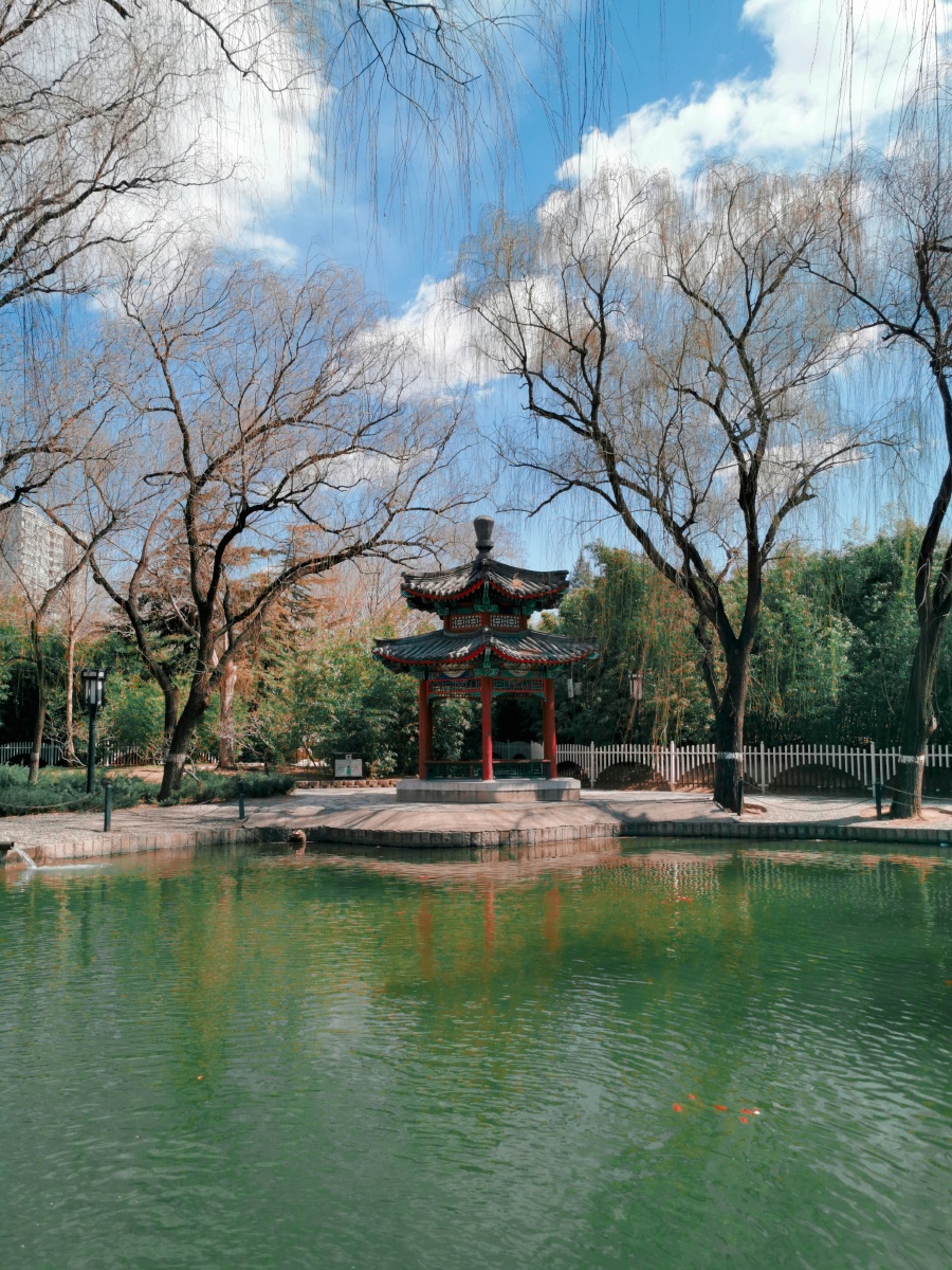 北平春晴绿水蓝天古亭锦鲤