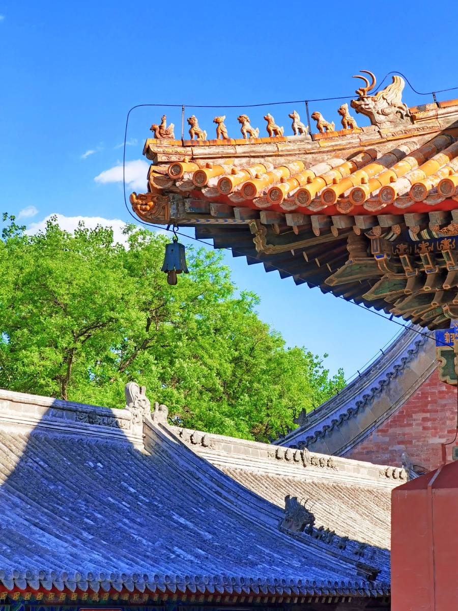 雍和初夏,北京雍和宫一角,黄色琉璃瓦与青瓦交相辉映 - 老摄影师旺仔