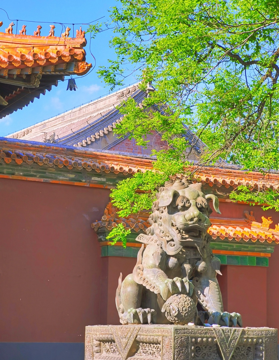 雍和初夏,北京雍和宫. - 老摄影师旺仔 - 图虫