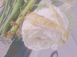 E68935B6-39CB-4B20-87C0-134C3A1FE22D/L0/001