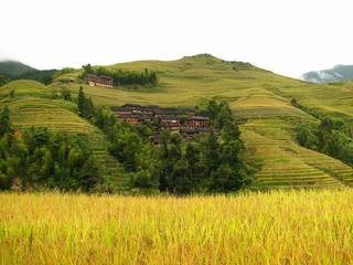 IMG_1592.JPG