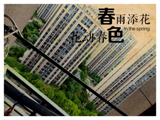 4276502