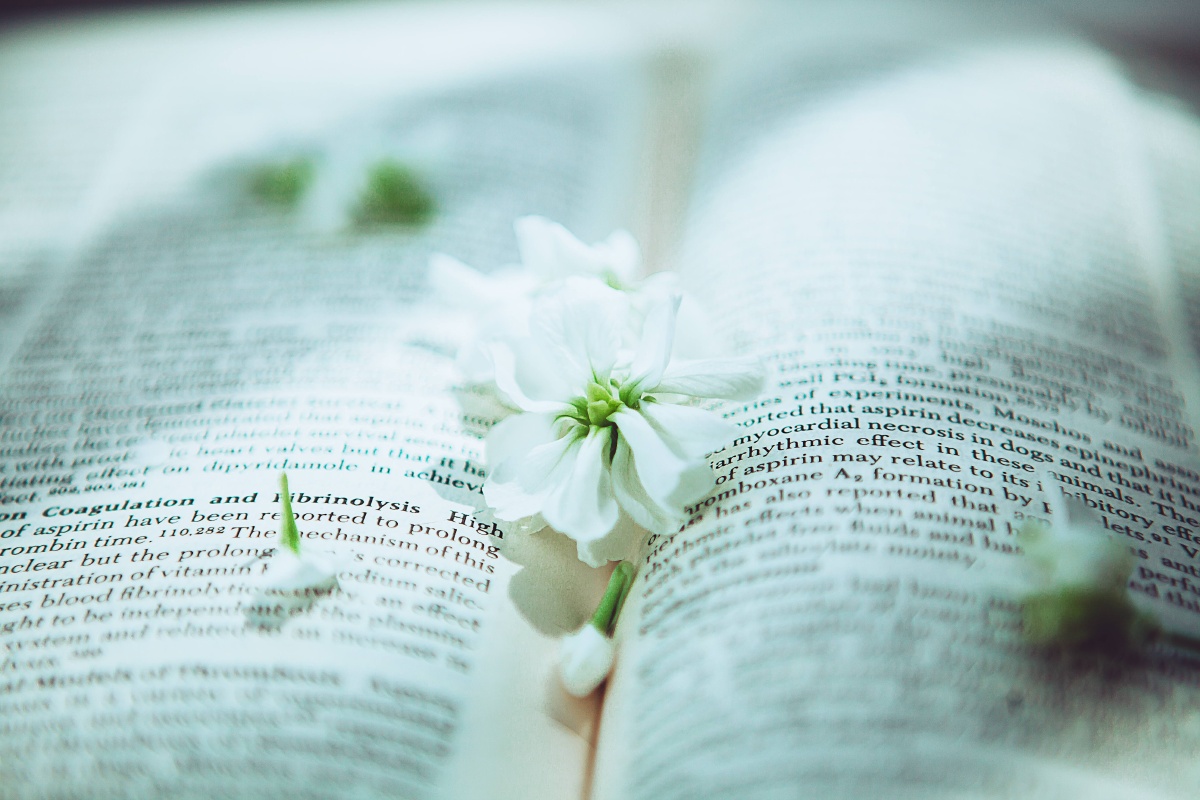 阳光午后 - 青annabelle