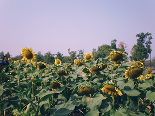 InterPhoto_1573300879741
