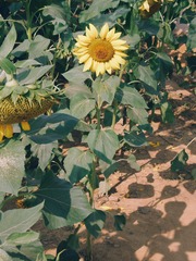 InterPhoto_1573300882255