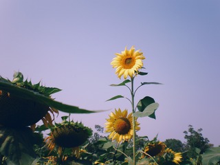 InterPhoto_1573300891347