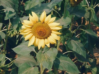 InterPhoto_1573300878282