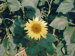 InterPhoto_1573300890886