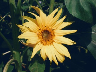 InterPhoto_1573300886509