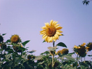 InterPhoto_1573300879108